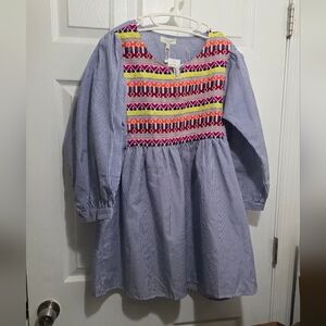 Velzera Blue Striped Tunic with Multicolor Embroidery